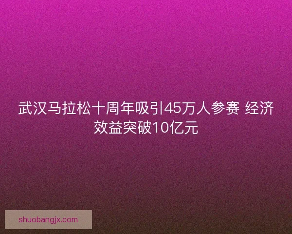 武汉马拉松十周年吸引45万人参赛 经济效益突破10亿元 武汉马拉松十周年吸引45万人参赛 经济效益突破10亿元
