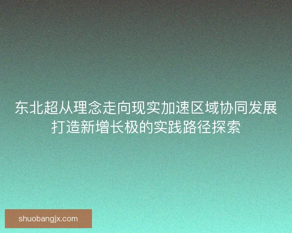 东北超从理念走向现实加速区域协同发展打造新增长极的实践路径探索 东北超从理念走向现实加速区域协同发展打造新增长极的实践路径探索